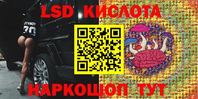 хмурый Аргун