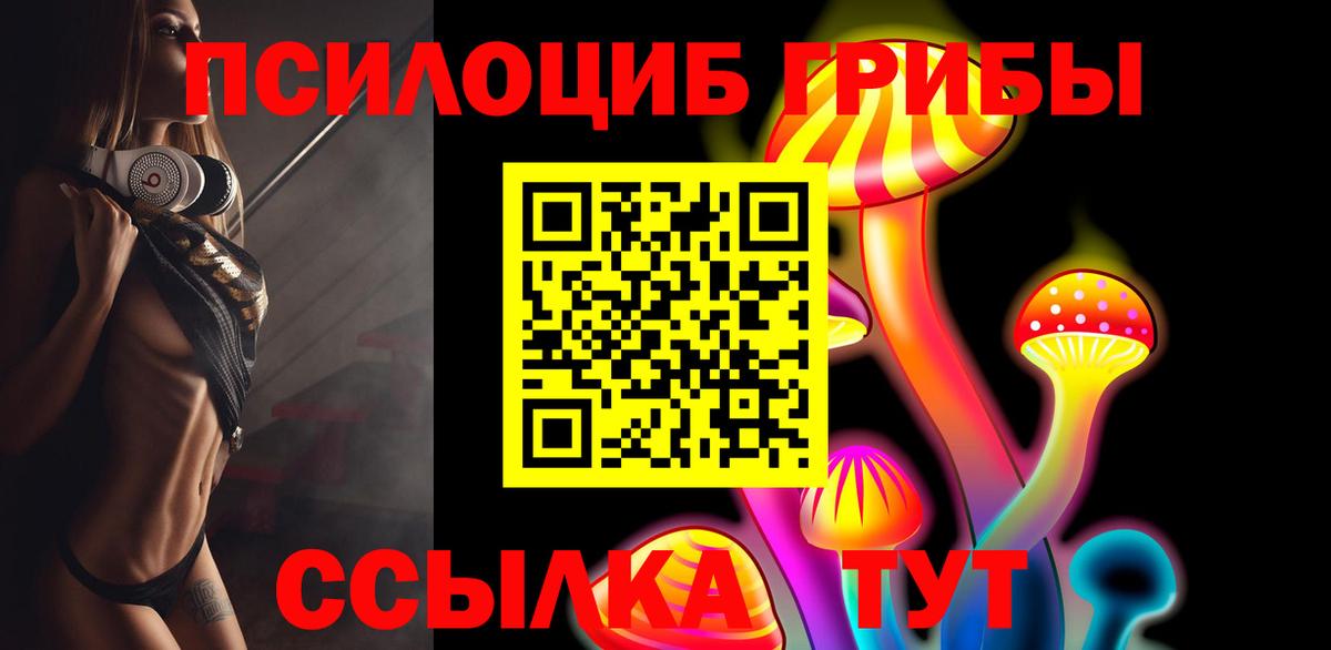 Галлюциногенные грибы Psilocybine cubensis Верхняя Пышма